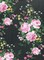 1 Yard Digital Floral Mesh Fabric Lightweight Stretch Sheer 54” Wide for Fashion & Crafts